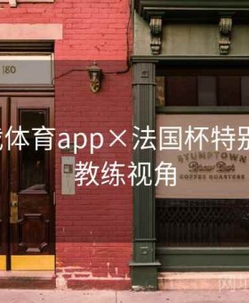 爱游戏体育app×法国杯特别策划：教练视角